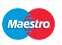 Maestro logo